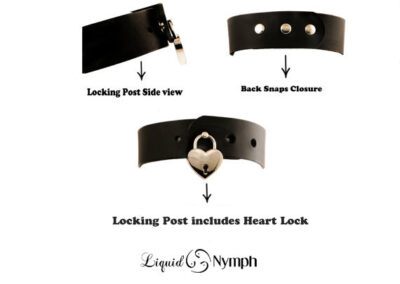 Black collar with heart lock and snaps.