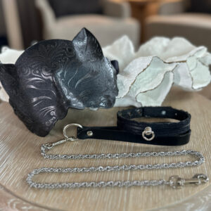 Pretty Kitty Playset with blackout blindfold, slim lace collar and silver rope chain leash